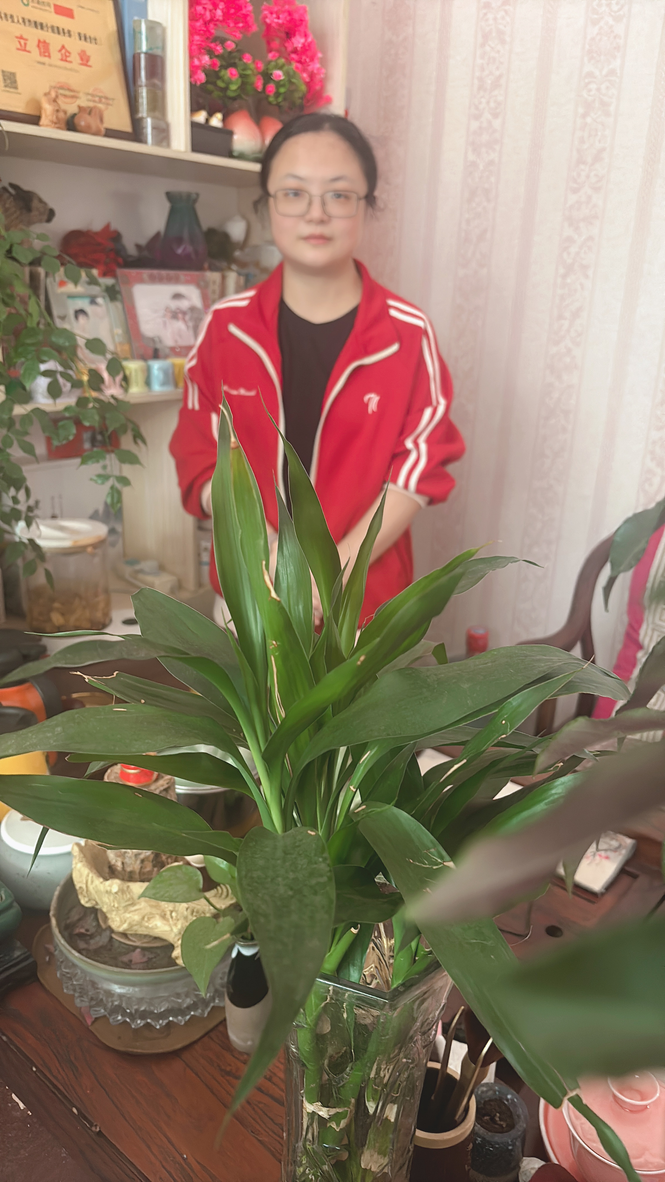 AA
